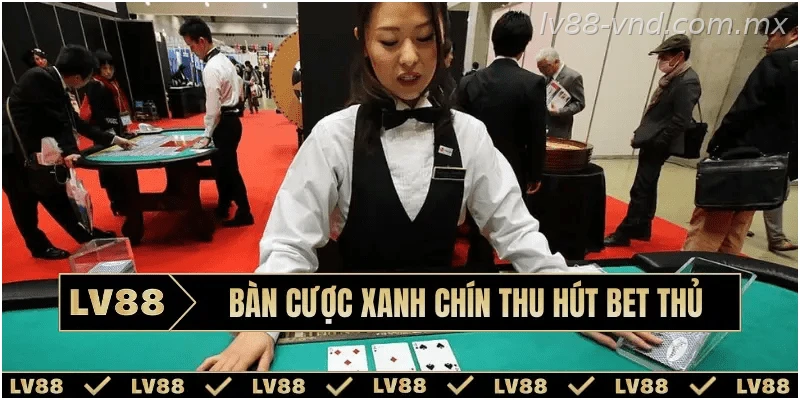 Không gian giải trí và dịch vụ tại casino hợp pháp