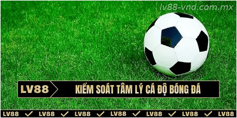 Giữ bình tĩnh khi theo dõi các trận đấu bóng đá