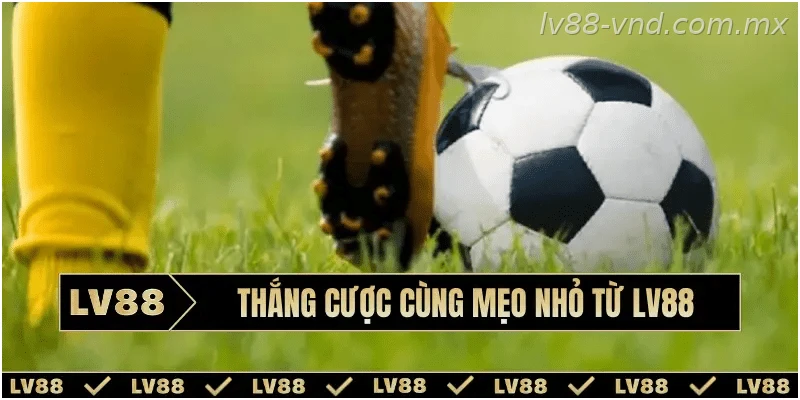 Kinh nghiệm theo dõi thông tin trước giờ bóng lăn