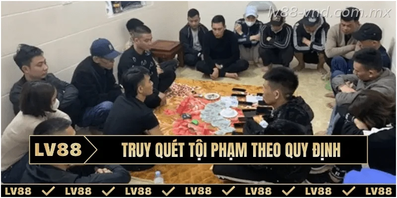 Tìm hiểu quy định đối với hành vi tổ chức đánh bạc